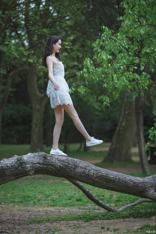 圍標串標六種常見手法及其法律風險警示