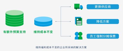 2020年高科技與互聯(lián)網(wǎng)行業(yè)員工福利洞察報告 聚焦互聯(lián)網(wǎng)技術(shù)開發(fā)人才